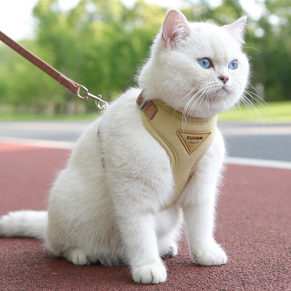 Paws on Parade Harness Set - Animal & Pet Supplies - Boopawdoo