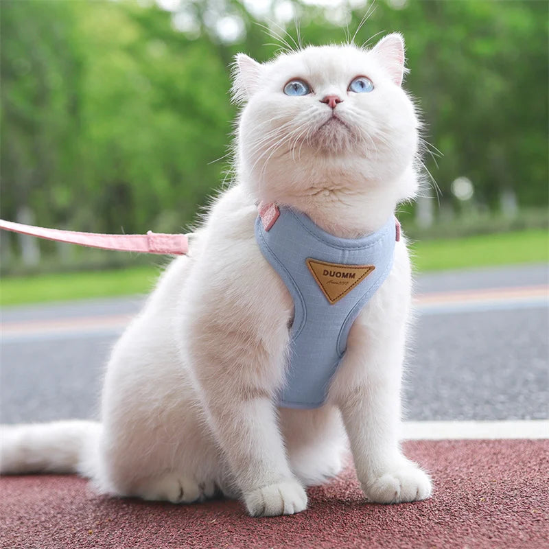 Paws on Parade Harness Set - Animal & Pet Supplies - Boopawdoo
