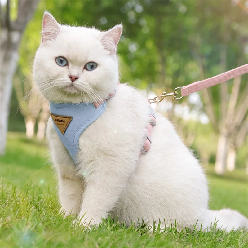 Paws on Parade Harness Set - Animal & Pet Supplies - Boopawdoo