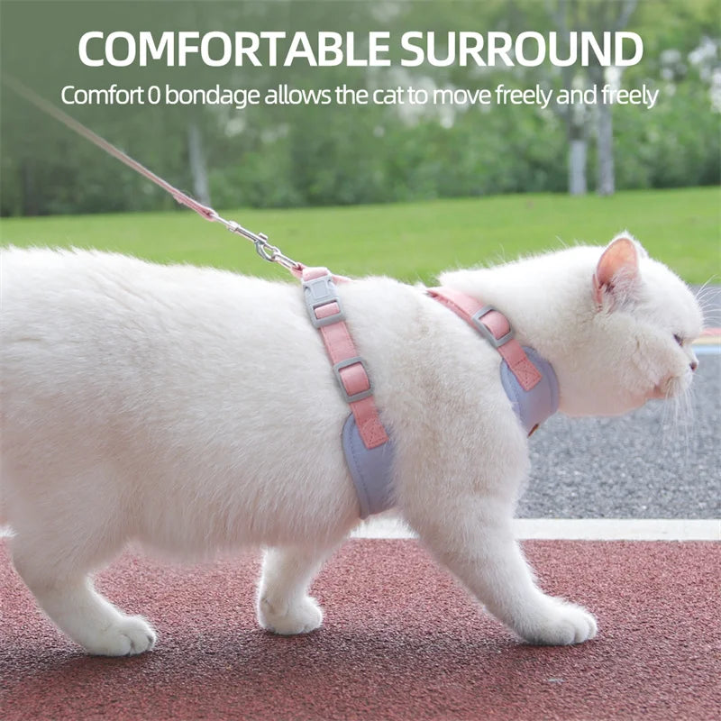 Paws on Parade Harness Set - Animal & Pet Supplies - Boopawdoo