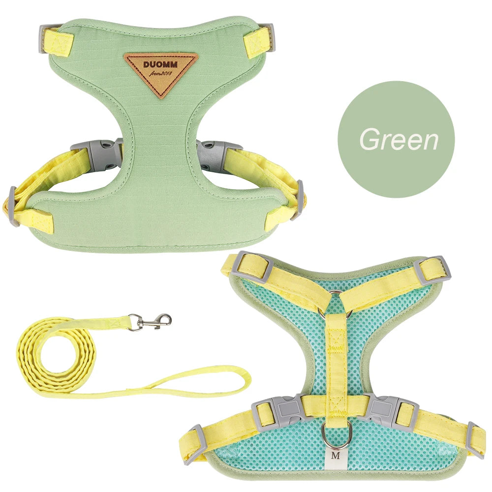 Paws on Parade Harness Set - Animal & Pet Supplies - Boopawdoo