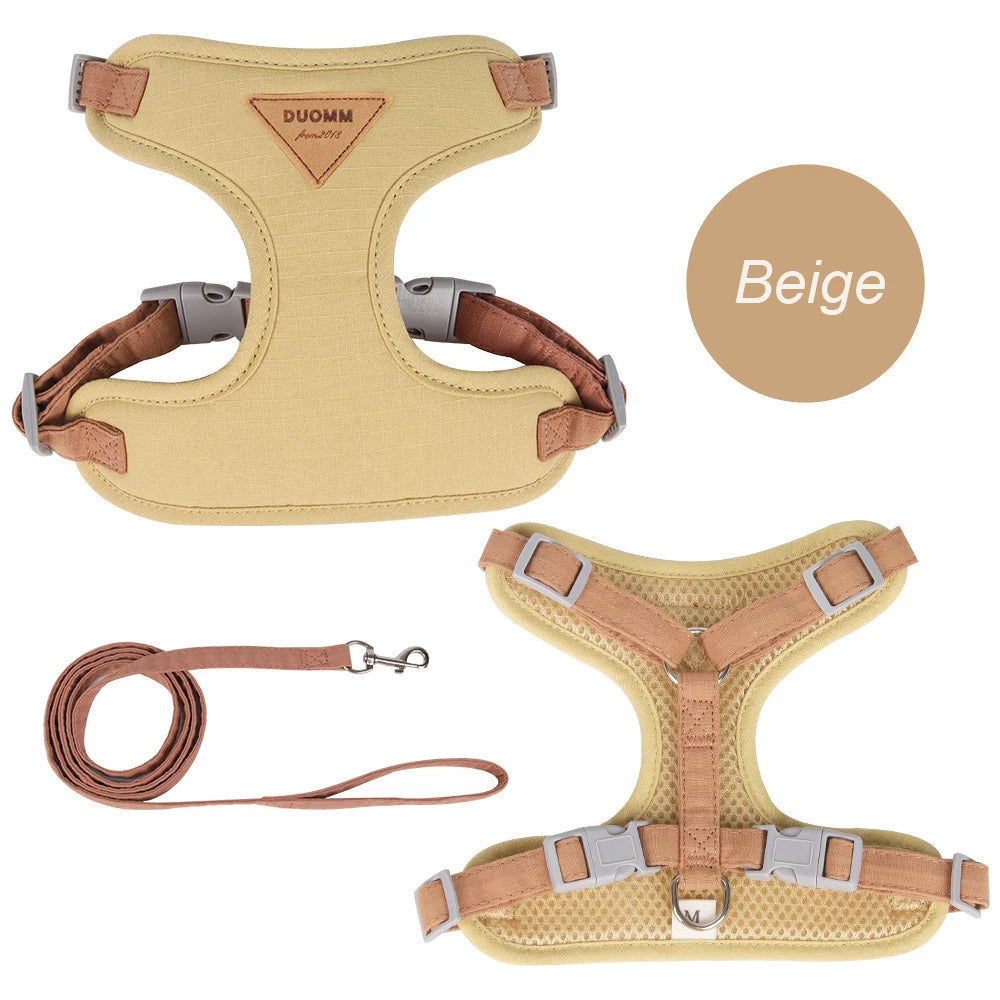 Paws on Parade Harness Set - Animal & Pet Supplies - Boopawdoo