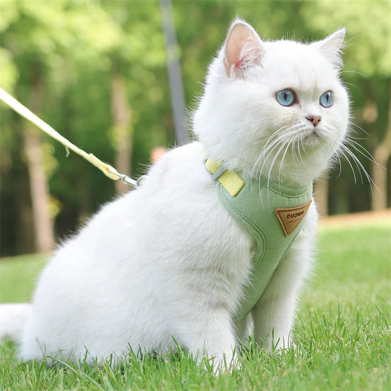 Paws on Parade Harness Set - Animal & Pet Supplies - Boopawdoo