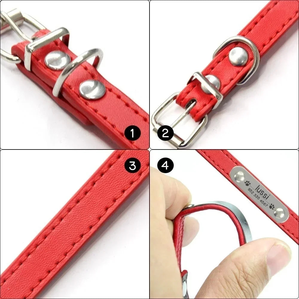BoopTag ID Collar - Animal & Pet Supplies - Boopawdoo