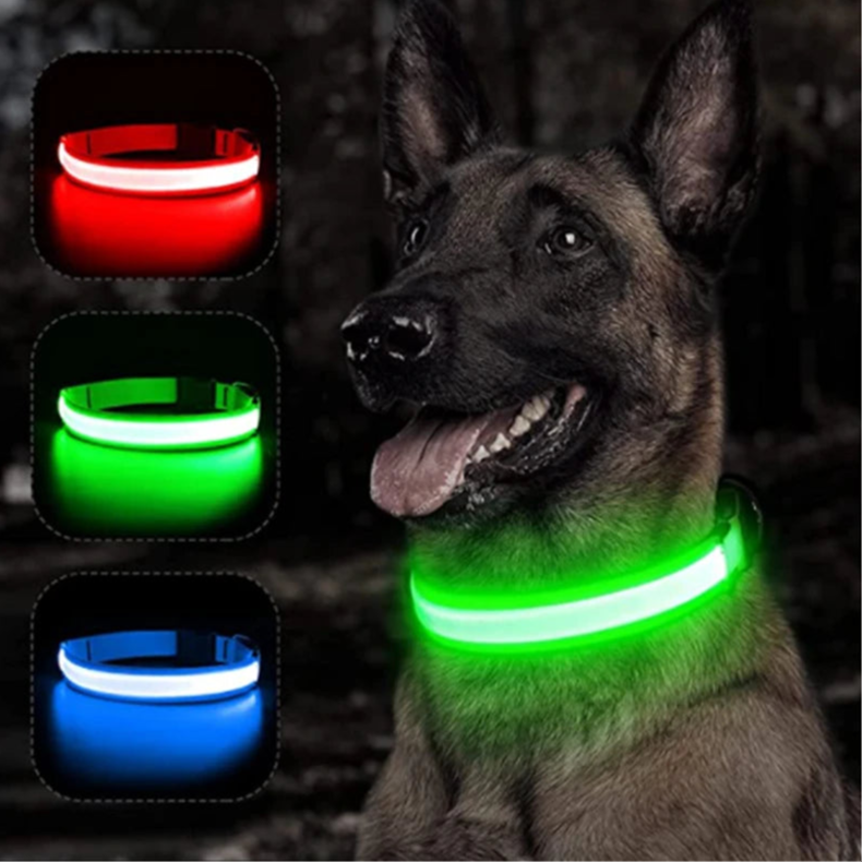 GlowPaw Safety Collar - Animal & Pet Supplies - Boopawdoo