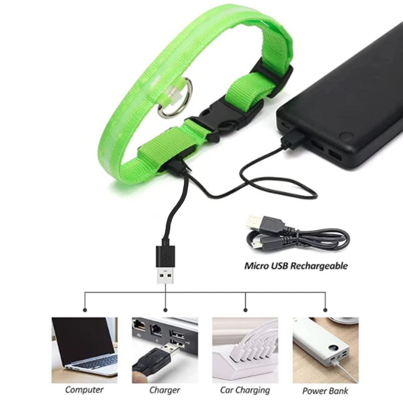 GlowPaw Safety Collar - Animal & Pet Supplies - Boopawdoo