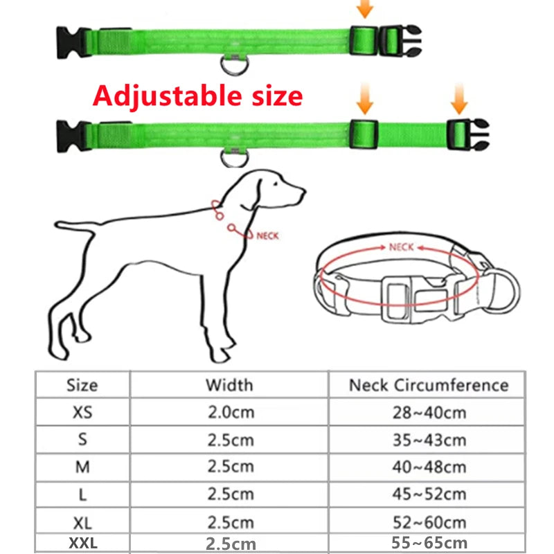GlowPaw Safety Collar - Animal & Pet Supplies - Boopawdoo