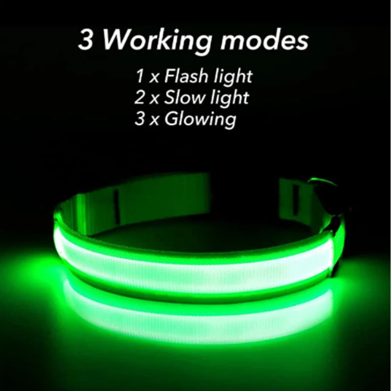 GlowPaw Safety Collar - Animal & Pet Supplies - Boopawdoo