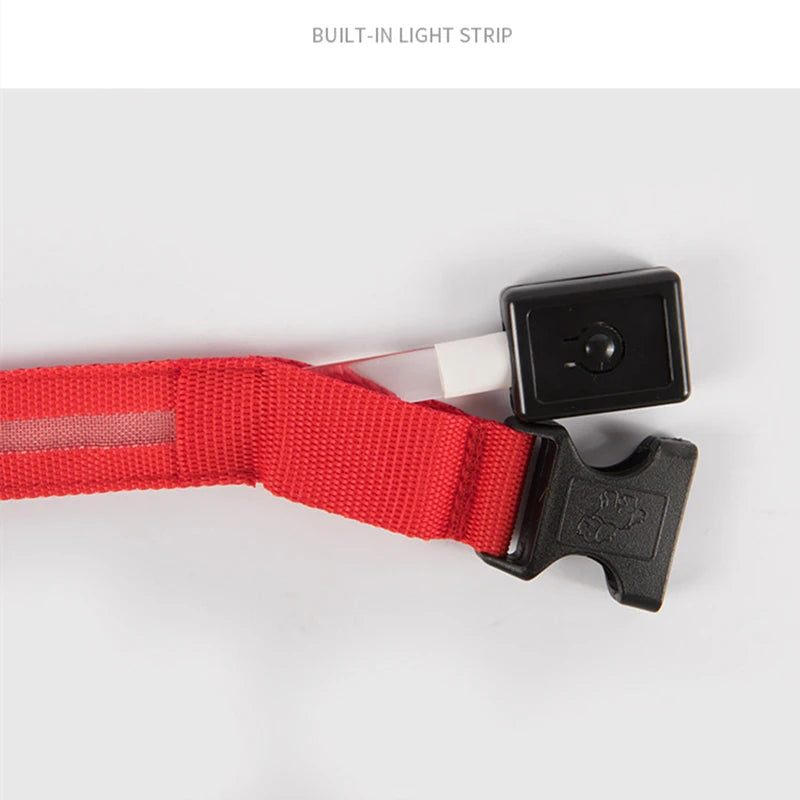 GlowPaw Safety Collar - Animal & Pet Supplies - Boopawdoo