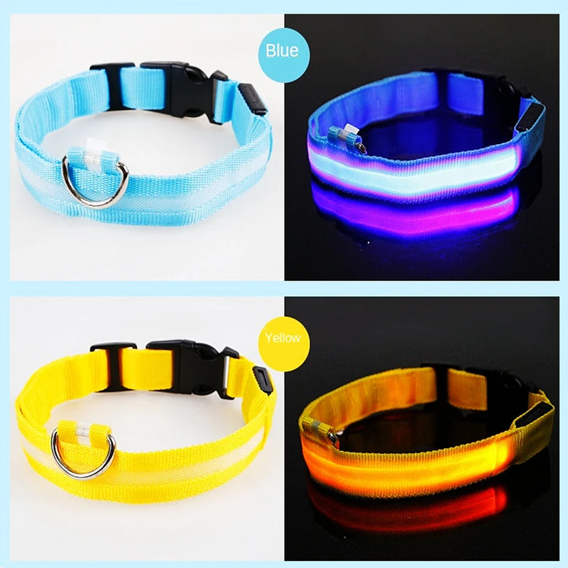 GlowPaw Safety Collar - Animal & Pet Supplies - Boopawdoo