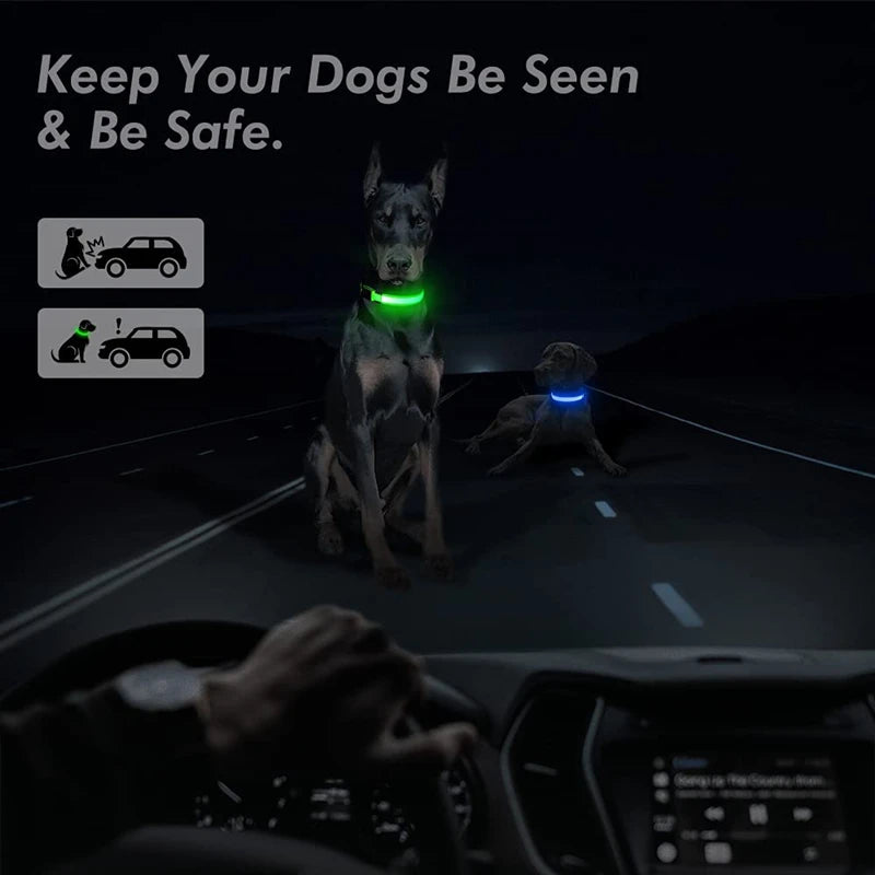 GlowPaw Safety Collar - Animal & Pet Supplies - Boopawdoo