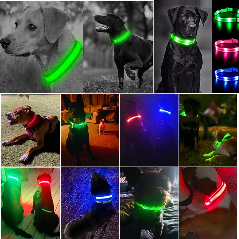 GlowPaw Safety Collar - Animal & Pet Supplies - Boopawdoo