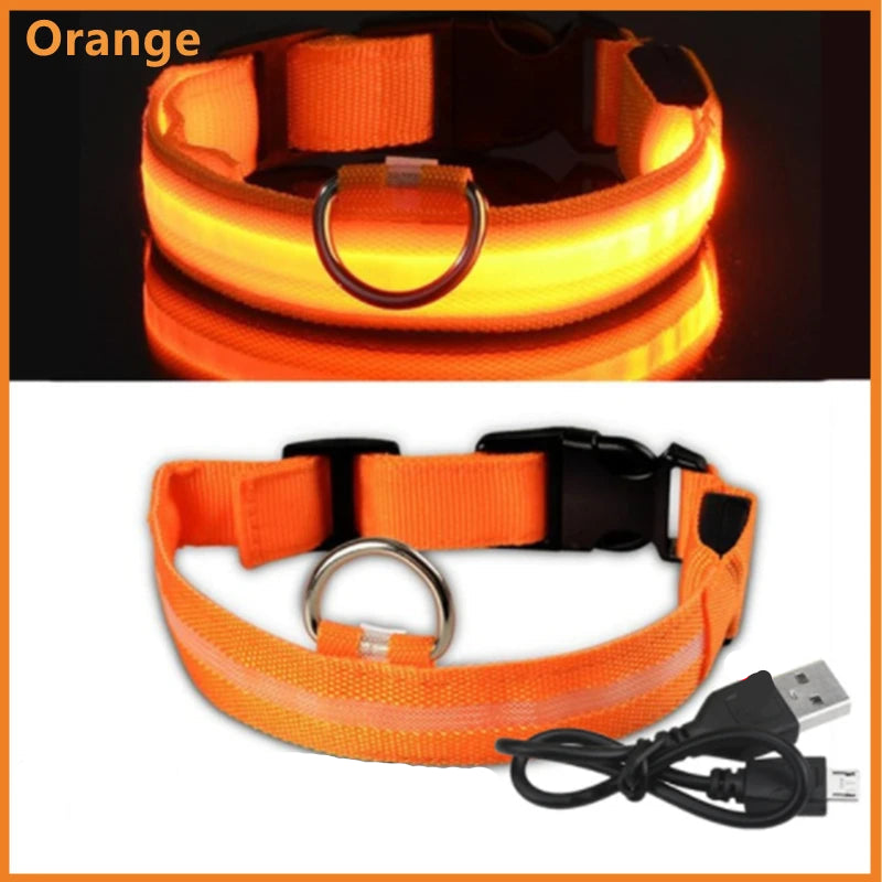 GlowPaw Safety Collar - Animal & Pet Supplies - Boopawdoo
