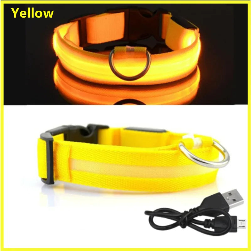 GlowPaw Safety Collar - Animal & Pet Supplies - Boopawdoo