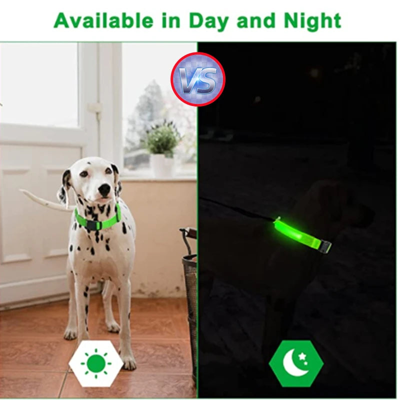 GlowPaw Safety Collar - Animal & Pet Supplies - Boopawdoo