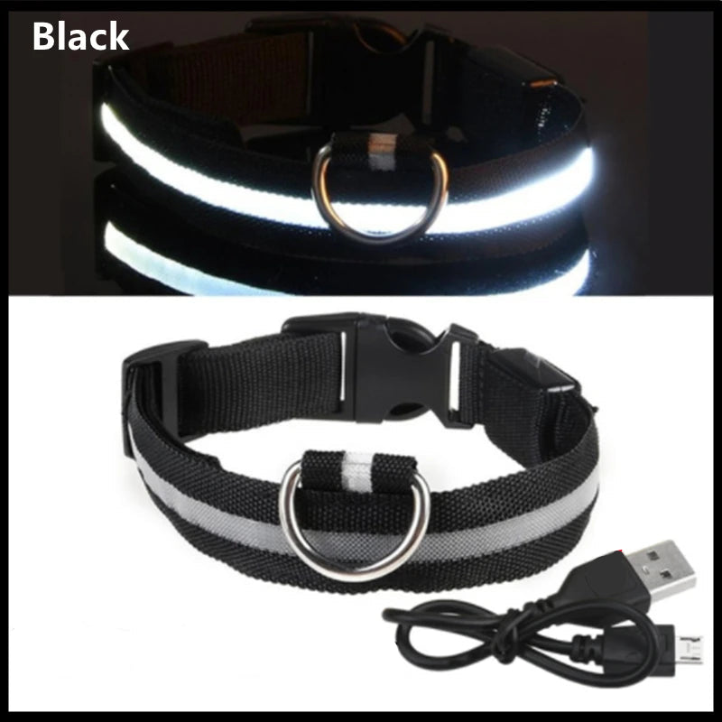 GlowPaw Safety Collar - Animal & Pet Supplies - Boopawdoo