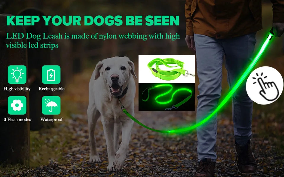 GlowPaw Safety Collar - Animal & Pet Supplies - Boopawdoo