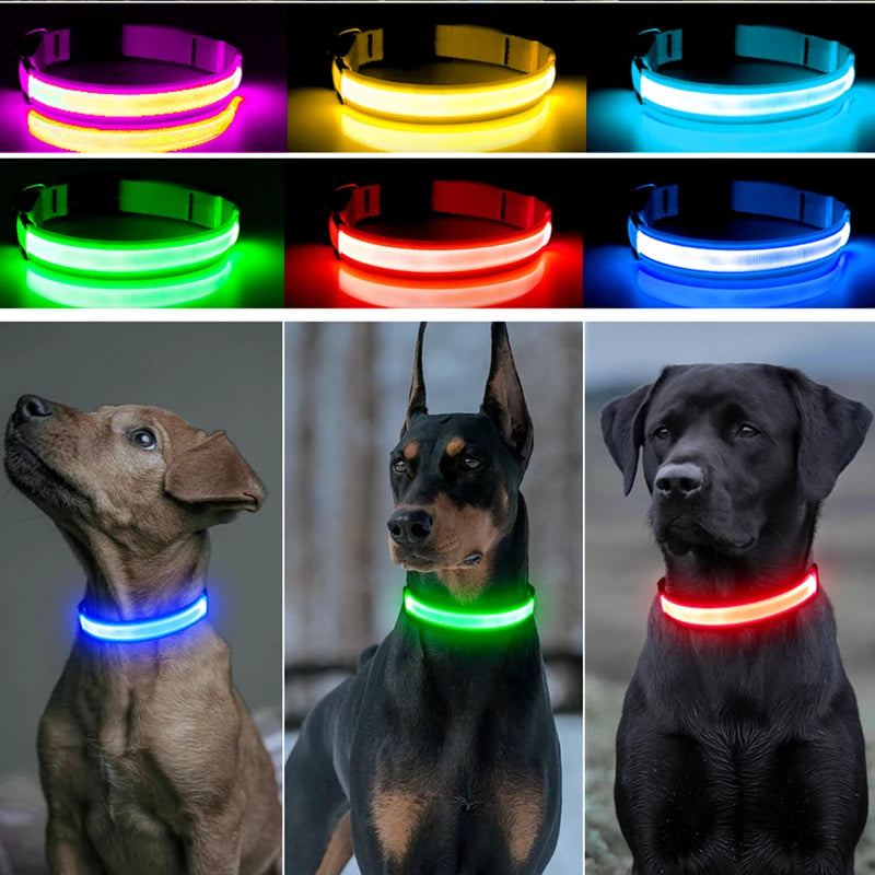 GlowPaw Safety Collar - Animal & Pet Supplies - Boopawdoo