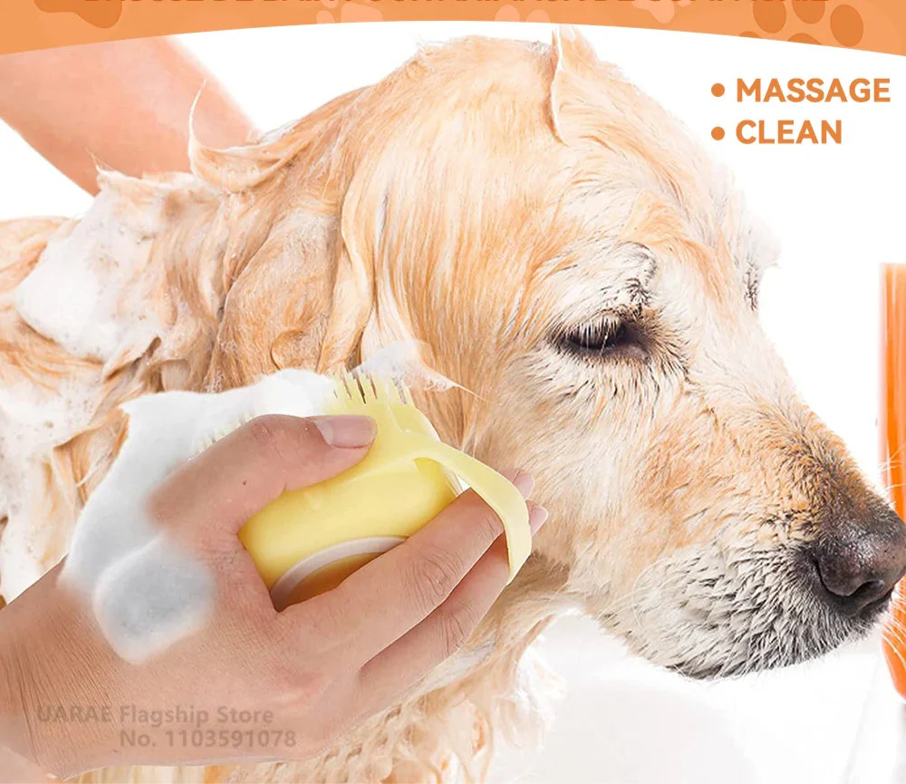 Clean & Care