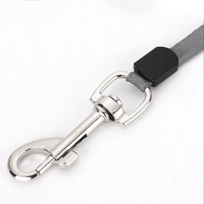 Boopawdoo Zoomie Leash - Animal & Pet Supplies - Boopawdoo