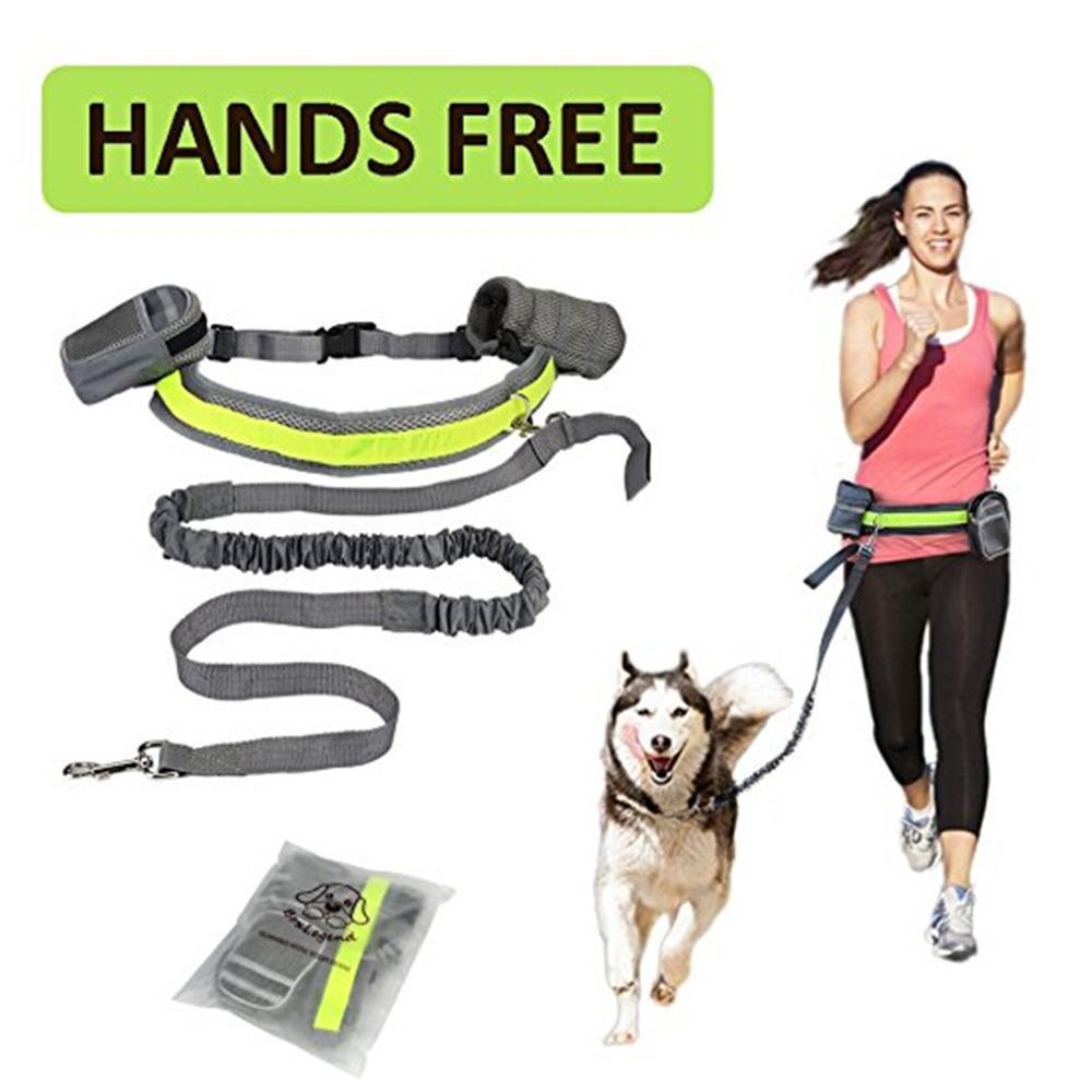 PawFree Hands-Free Leash - Animal & Pet Supplies - Boopawdoo