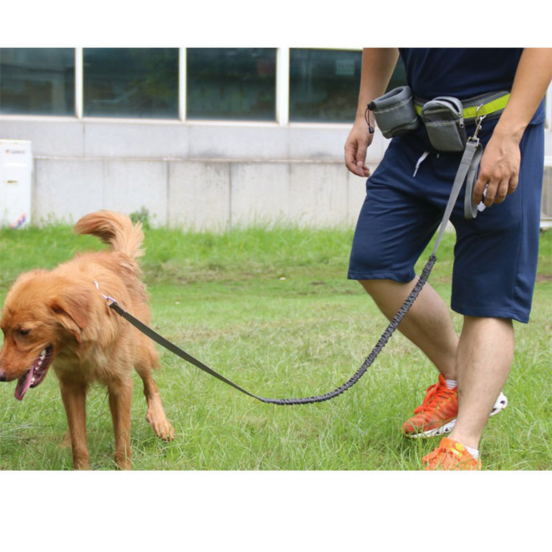 PawFree Hands-Free Leash - Animal & Pet Supplies - Boopawdoo