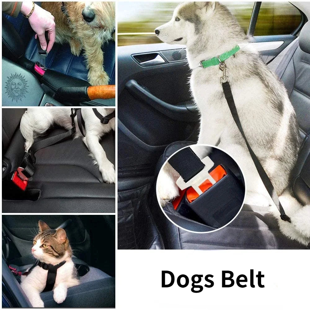 PawSafe Car Belt Clip - Animal & Pet Supplies - Boopawdoo