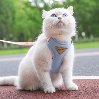 Paws on Parade Harness Set - Animal & Pet Supplies - Boopawdoo