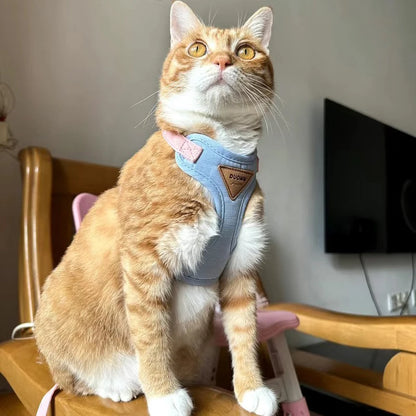 Paws on Parade Harness Set - Animal & Pet Supplies - Boopawdoo