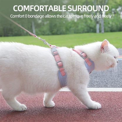 Paws on Parade Harness Set - Animal & Pet Supplies - Boopawdoo