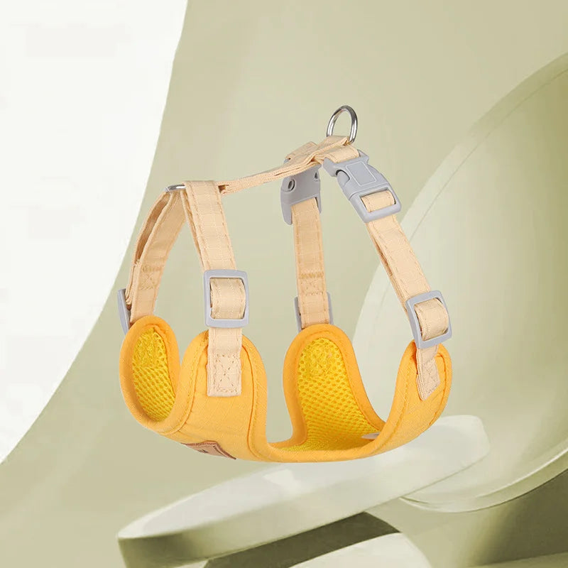 Paws on Parade Harness Set - Animal & Pet Supplies - Boopawdoo