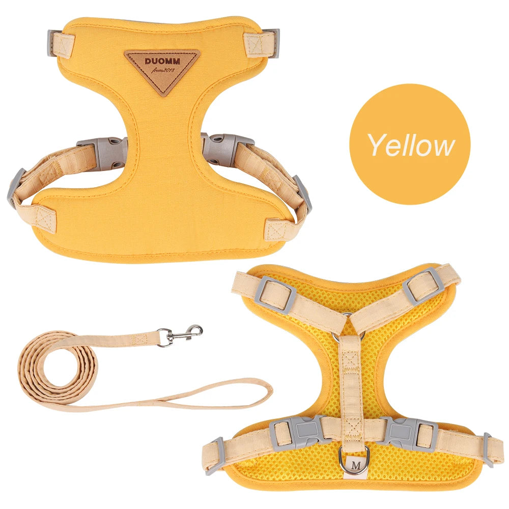 Paws on Parade Harness Set - Animal & Pet Supplies - Boopawdoo