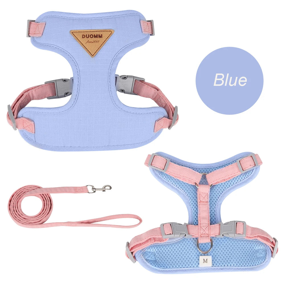 Paws on Parade Harness Set - Animal & Pet Supplies - Boopawdoo