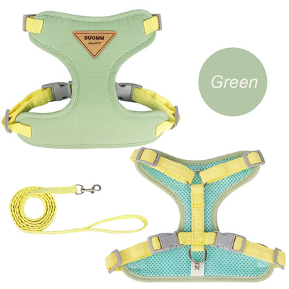 Paws on Parade Harness Set - Animal & Pet Supplies - Boopawdoo