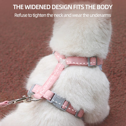 Paws on Parade Harness Set - Animal & Pet Supplies - Boopawdoo