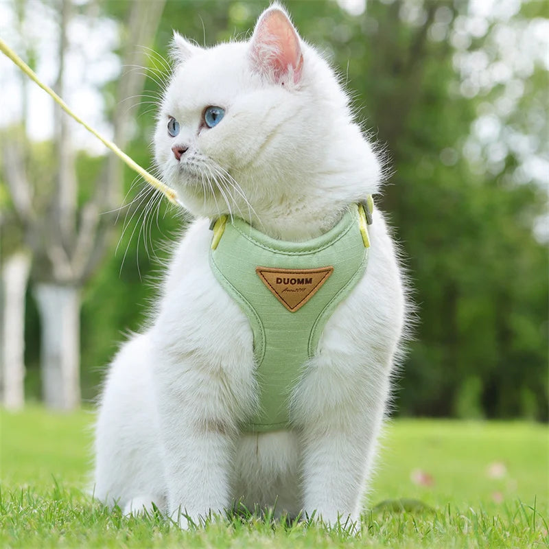 Paws on Parade Harness Set - Animal & Pet Supplies - Boopawdoo