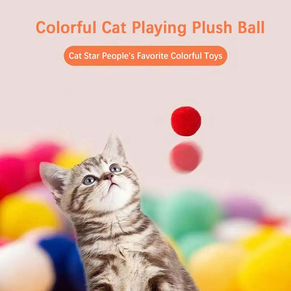 Pounce & Bounce Shooter - Animal & Pet Supplies - Boopawdoo