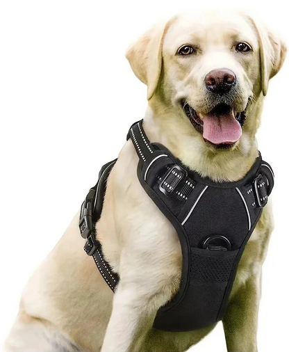 DapperPaw Leather Set - Animal & Pet Supplies - Boopawdoo