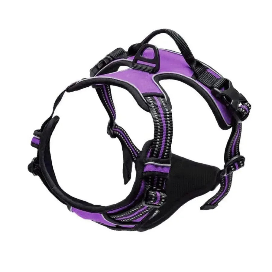 DapperPaw Leather Set - Animal & Pet Supplies - Boopawdoo