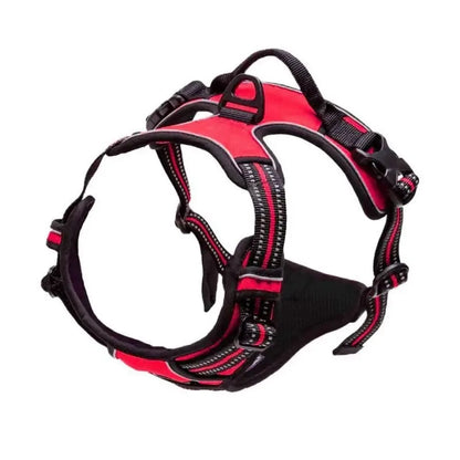 DapperPaw Leather Set - Animal & Pet Supplies - Boopawdoo