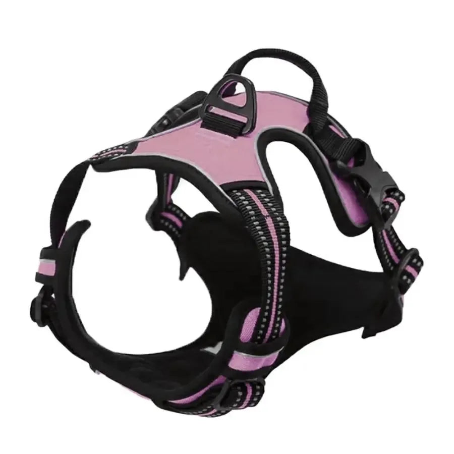 DapperPaw Leather Set - Animal & Pet Supplies - Boopawdoo