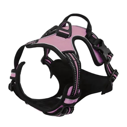 DapperPaw Leather Set - Animal & Pet Supplies - Boopawdoo