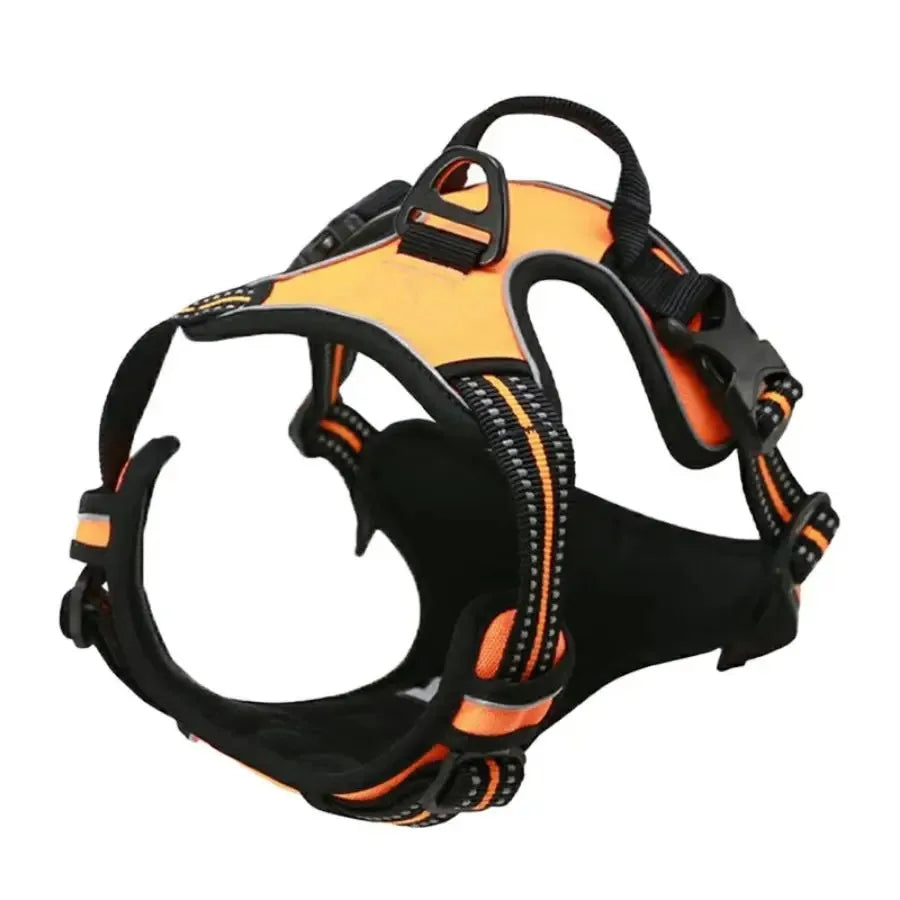 DapperPaw Leather Set - Animal & Pet Supplies - Boopawdoo