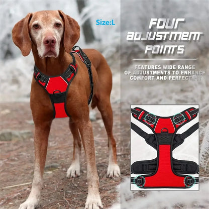 DapperPaw Leather Set - Animal & Pet Supplies - Boopawdoo