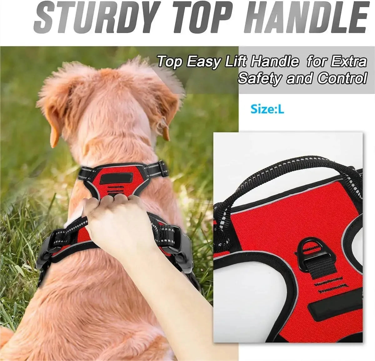 DapperPaw Leather Set - Animal & Pet Supplies - Boopawdoo