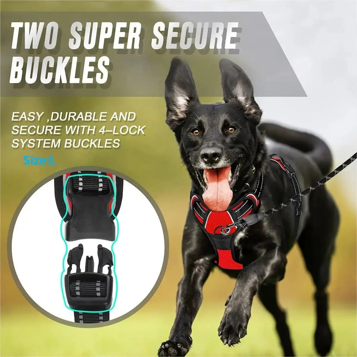 DapperPaw Leather Set - Animal & Pet Supplies - Boopawdoo