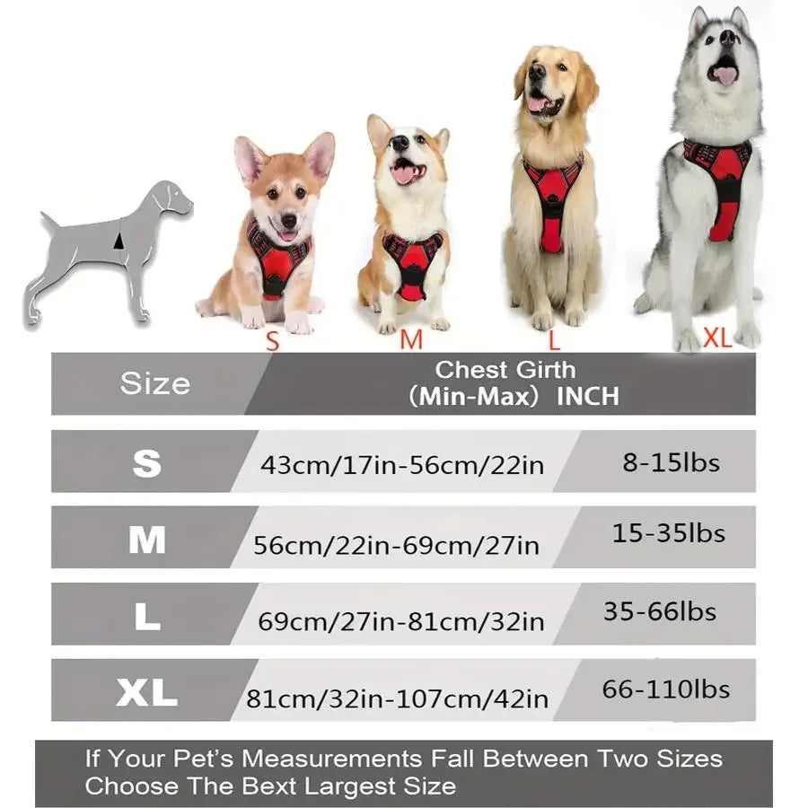 DapperPaw Leather Set - Animal & Pet Supplies - Boopawdoo