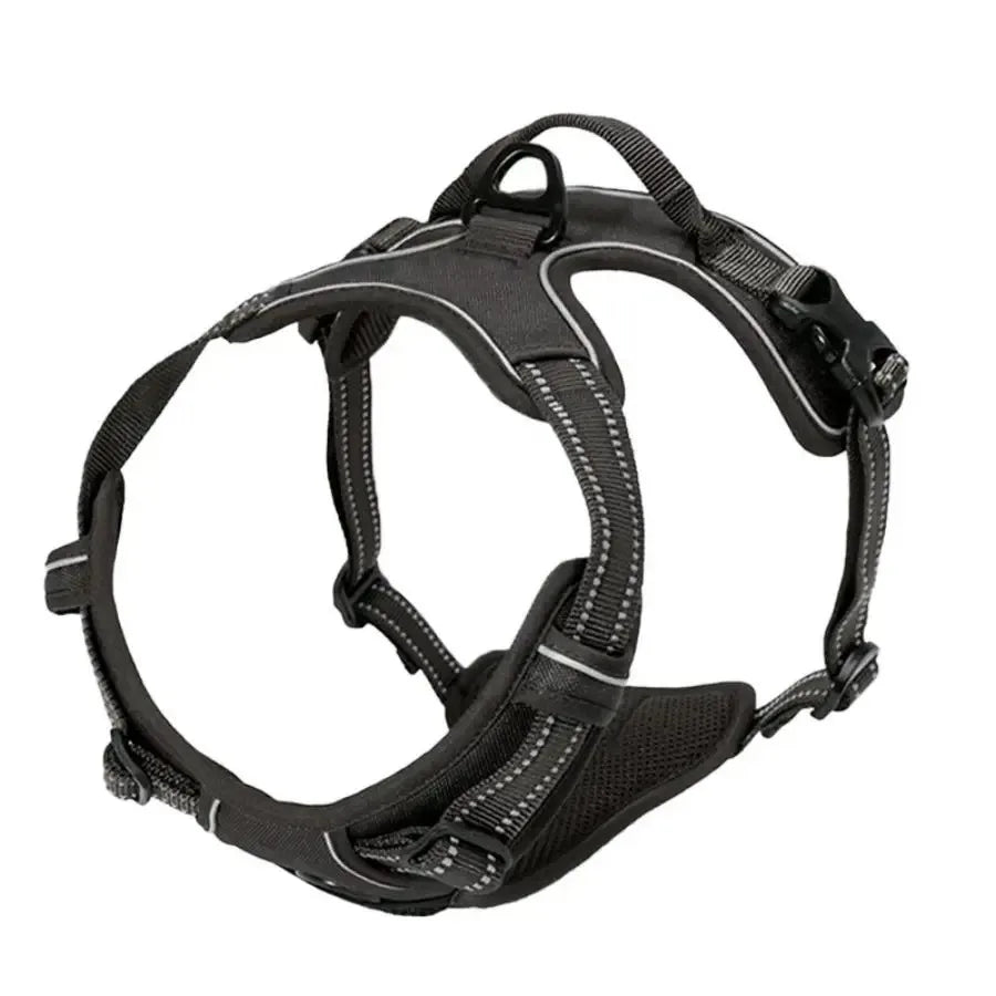DapperPaw Leather Set - Animal & Pet Supplies - Boopawdoo