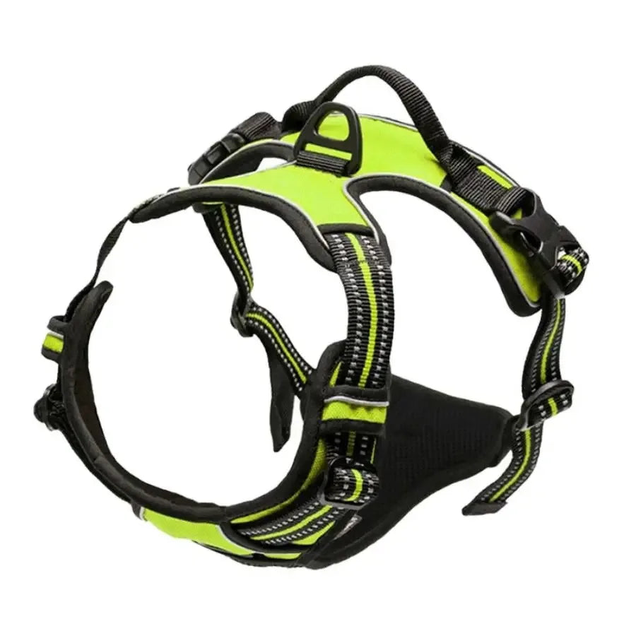 DapperPaw Leather Set - Animal & Pet Supplies - Boopawdoo