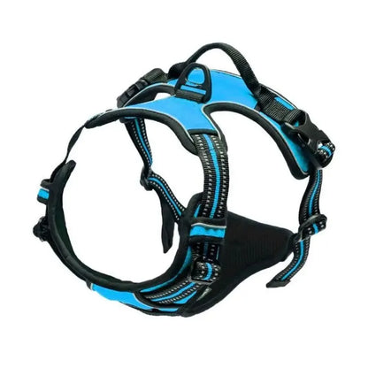 DapperPaw Leather Set - Animal & Pet Supplies - Boopawdoo